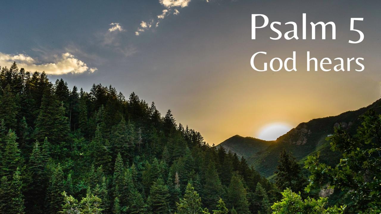 11-3-24 - Psalm 5 episode artwork