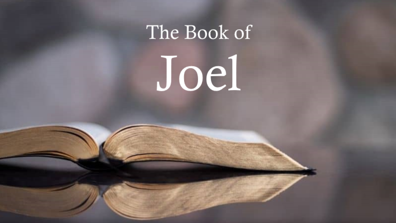 06-15-22 - Joel Chapter 1 episode artwork