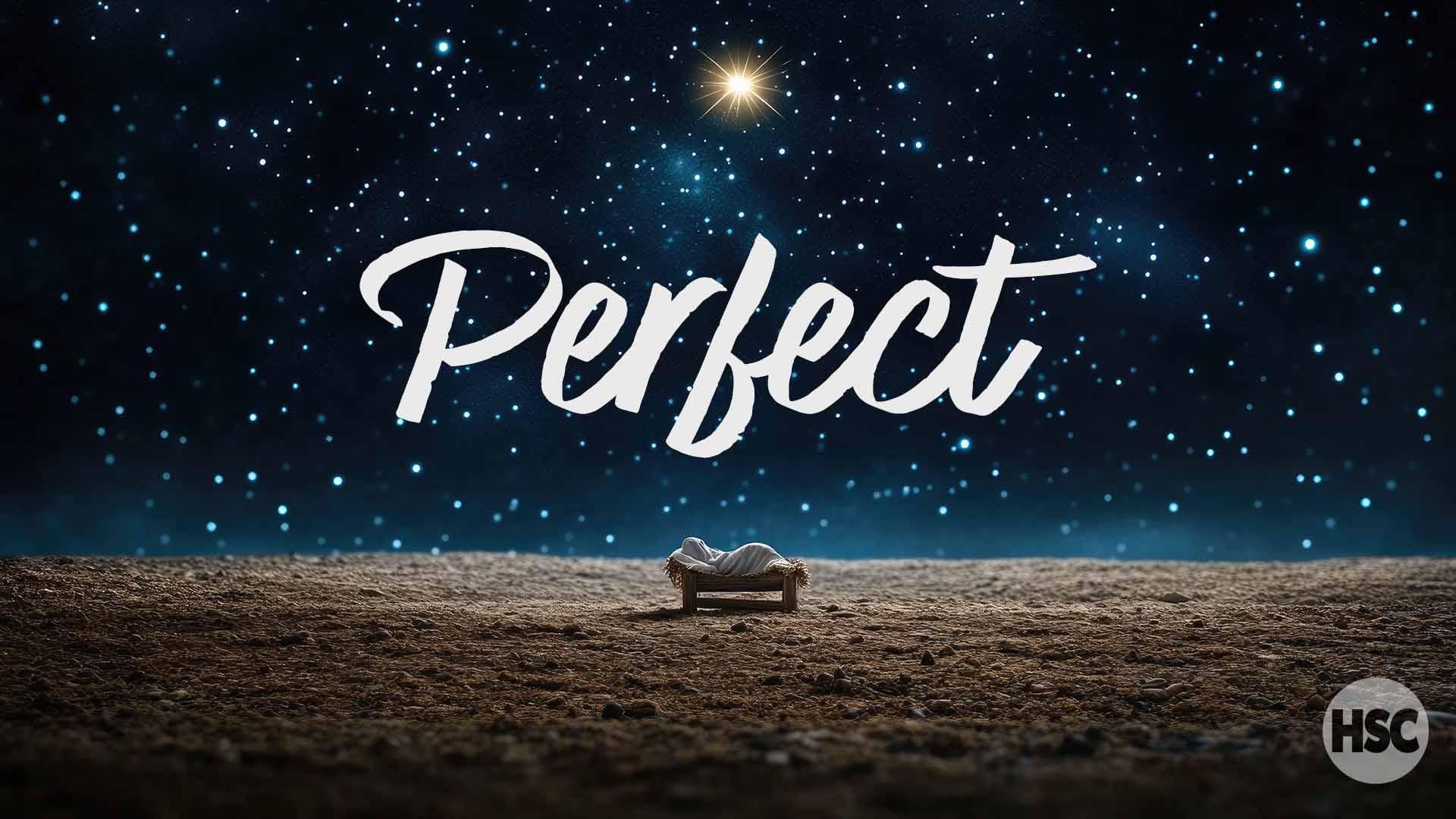 PERFECT: Perfect Lamb episode artwork